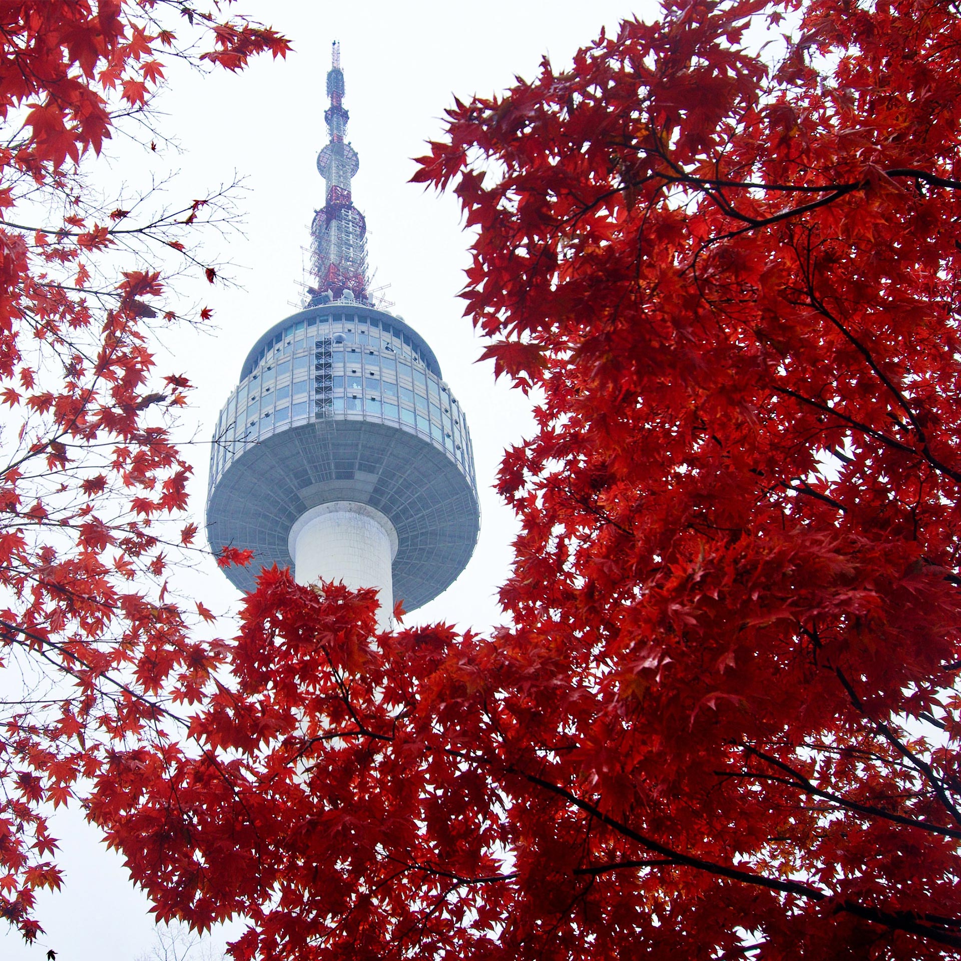 seoul