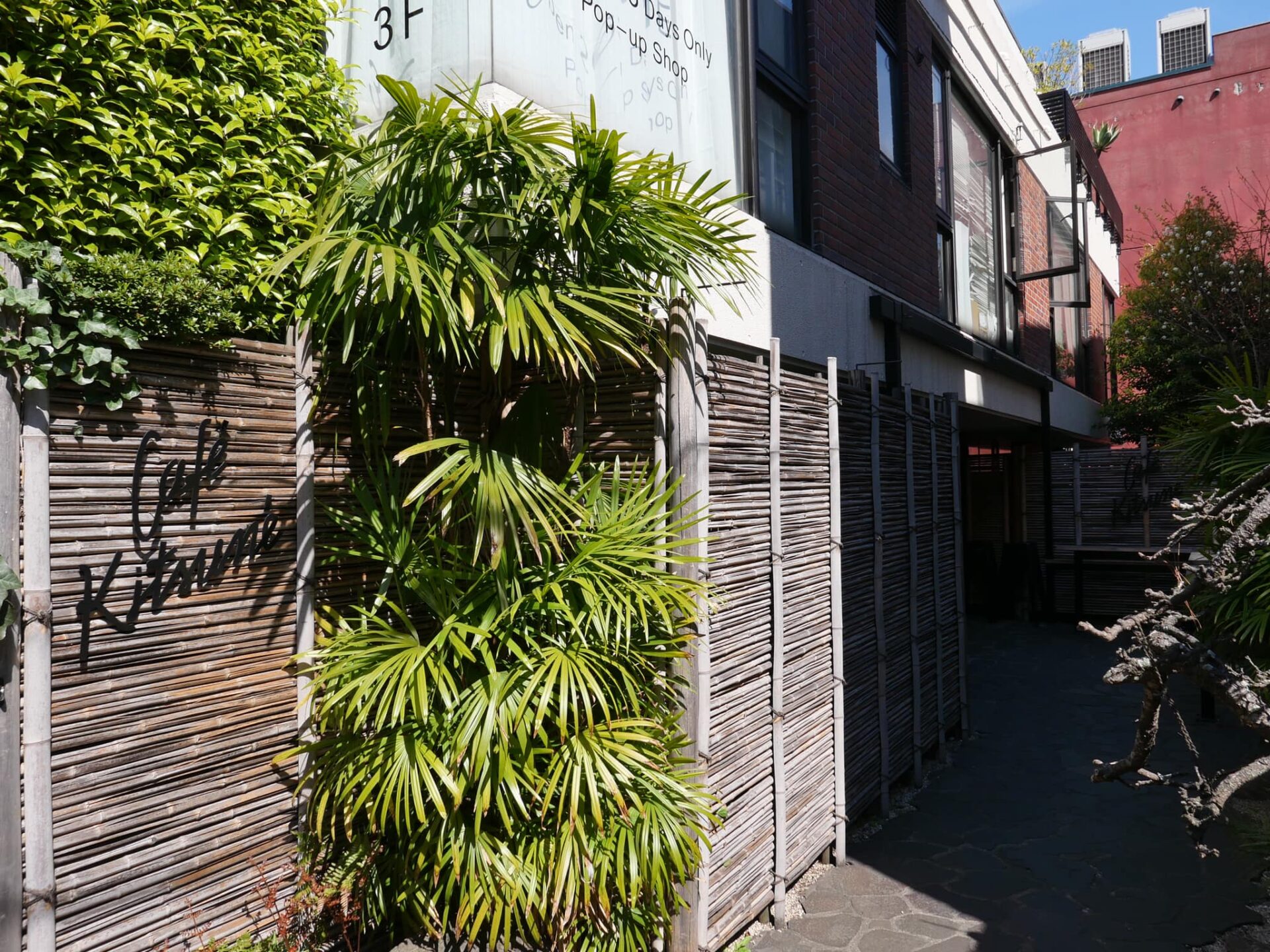Cafe Kitsune4