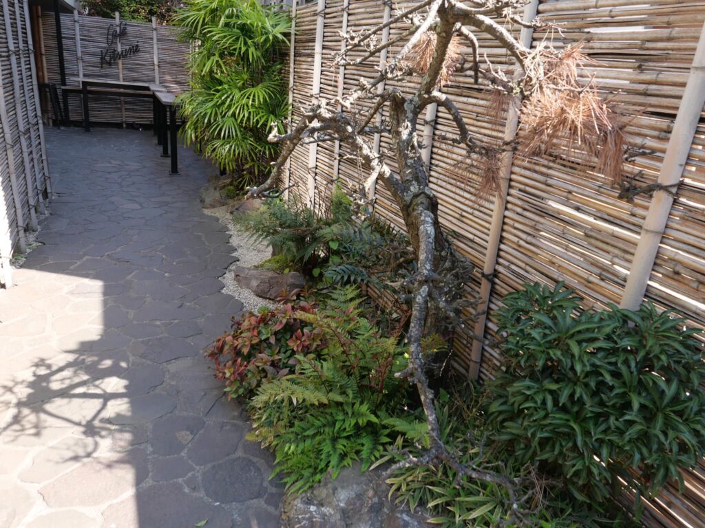 Cafe Kitsune6