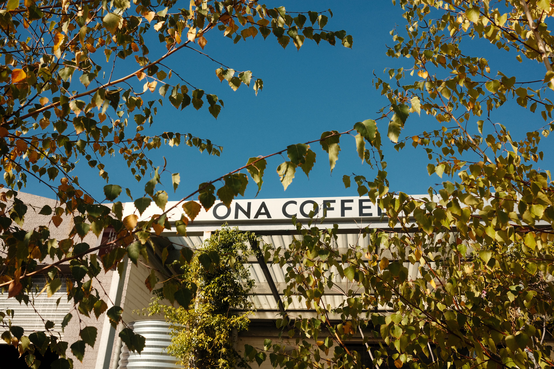 ONA Coffee Melbourne ONA Coffee Melbourne