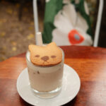 Chooka's Brunswick