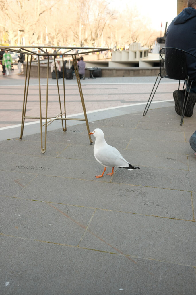 Protagonist